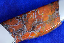 6x enlargement of stone canyon jasper 